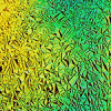 TRANSITION PATTERNS