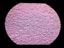 GREEN PINK RIPPLE