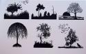 FOREST SCENES
